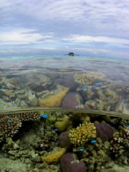 Walea Island. Central Sulawesi by Cipriano Gonzalez 